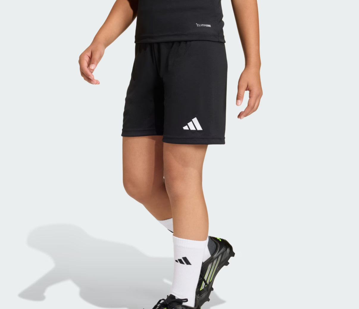Adidas Entrada 26 Youth Shorts