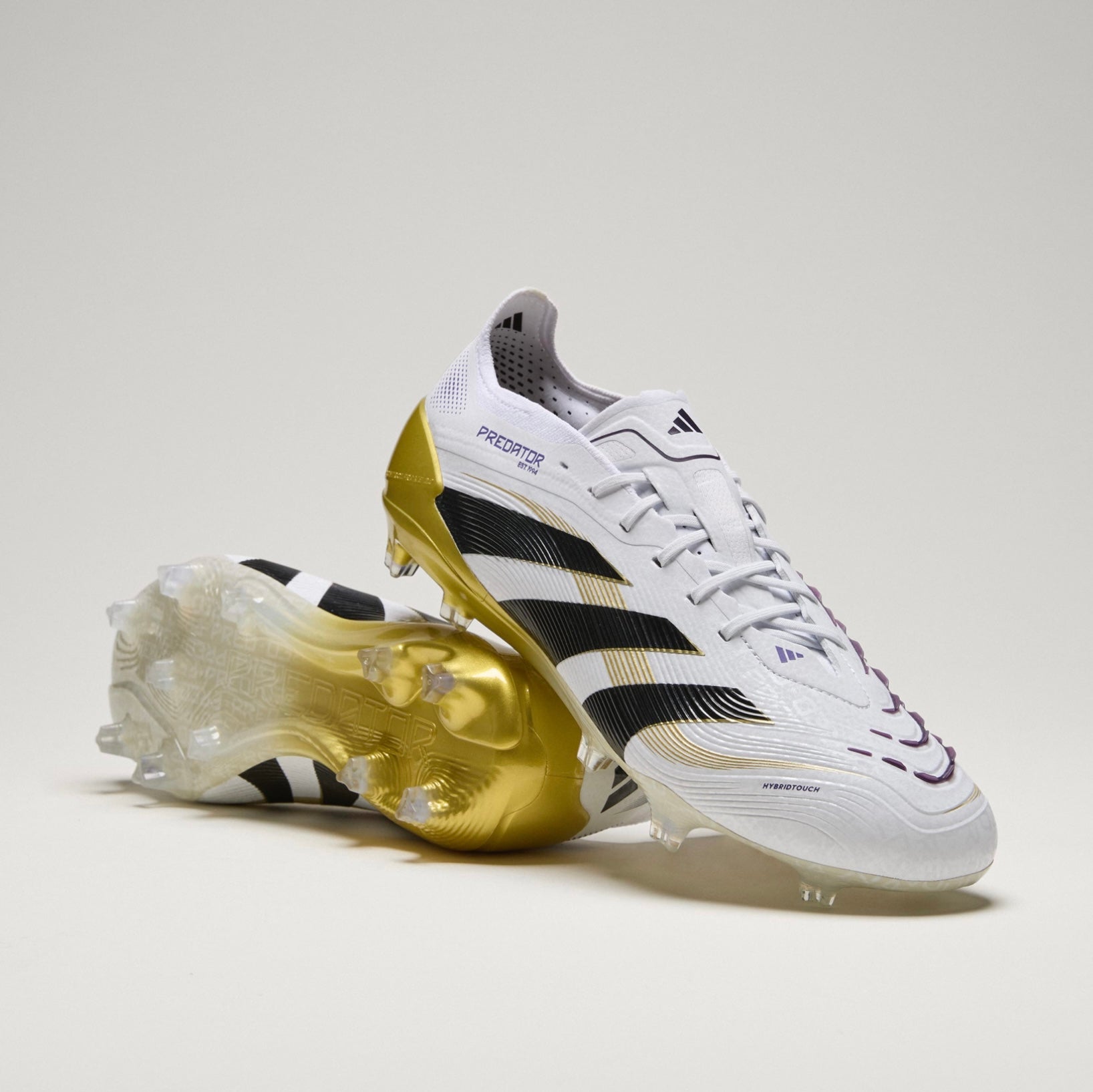 Predator Elite FG 'Road to Glory'