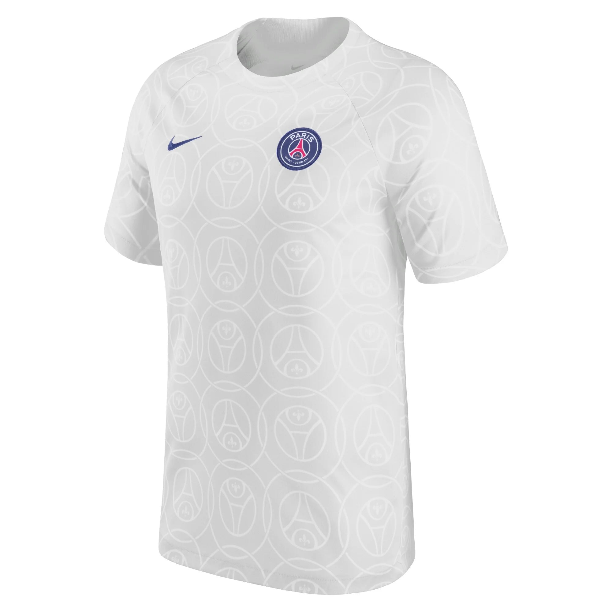 Paris Saint-Germain Dri-Fit Pre-Shirt