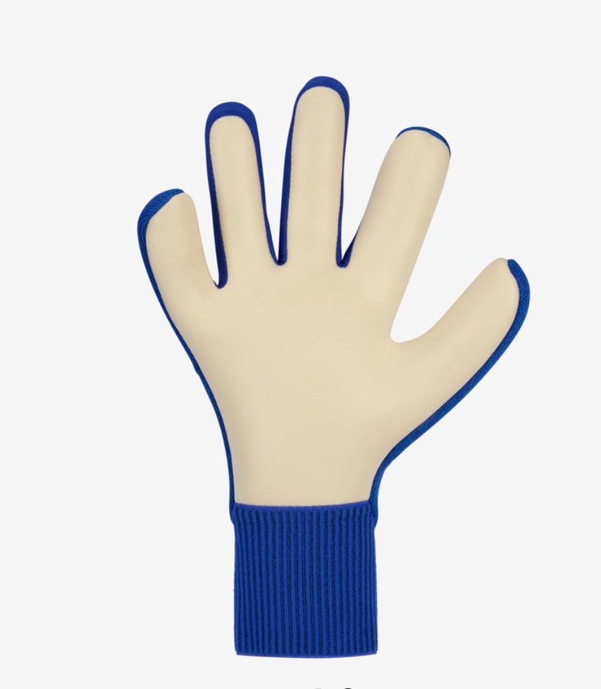 Nike Dynamic Fit Goalkeeper Gloves