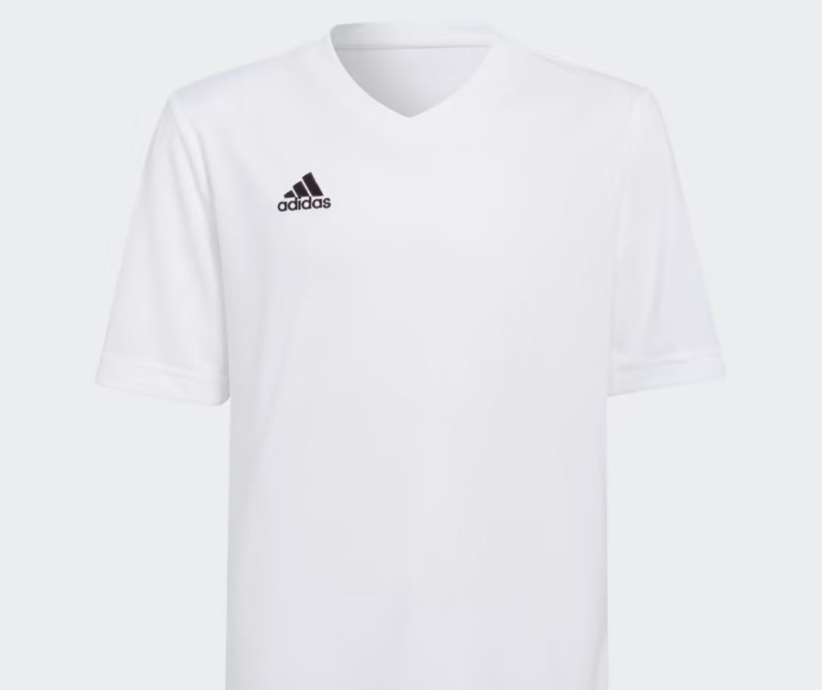 Entrada 22 Youth Jersey