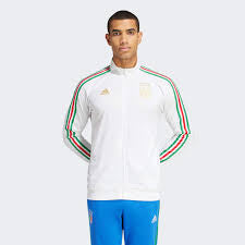 Adidas Italy Euro DNA Track Top