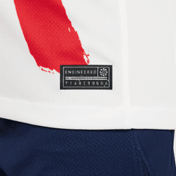 Paris Saint-Germain 2024/25 Stadium Away Kids Jersey