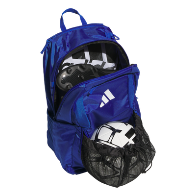Stadium 4 Backpack