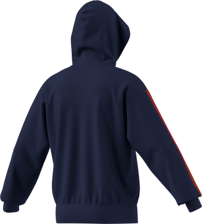 Spain DNA Hoodie