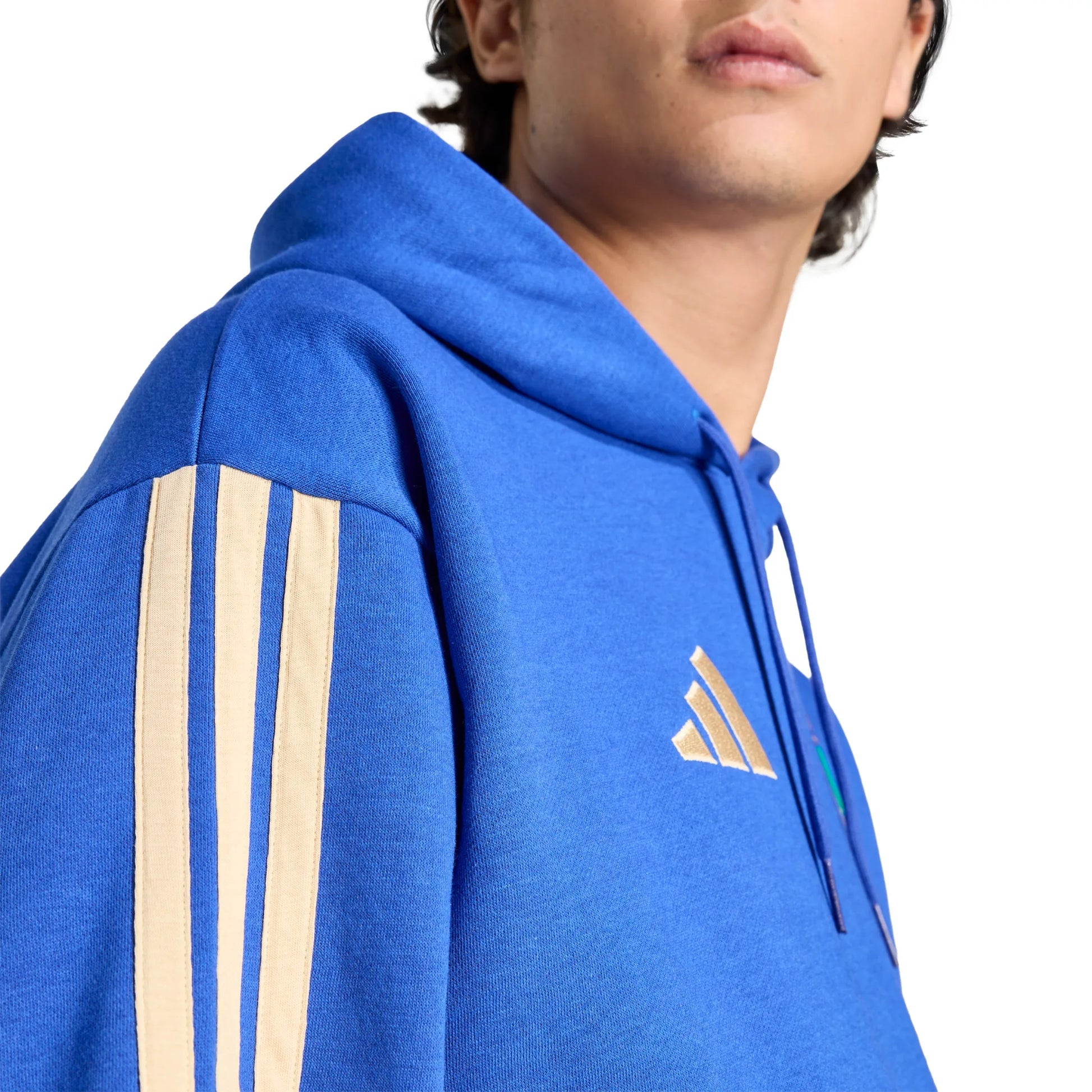 ITALY DNA Fleece Hoodie