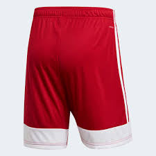 Youth Adidas Tastigo19 Shorts