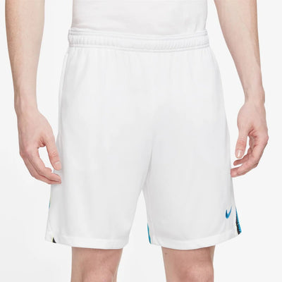Nike Dri-Fit Pro Shorts