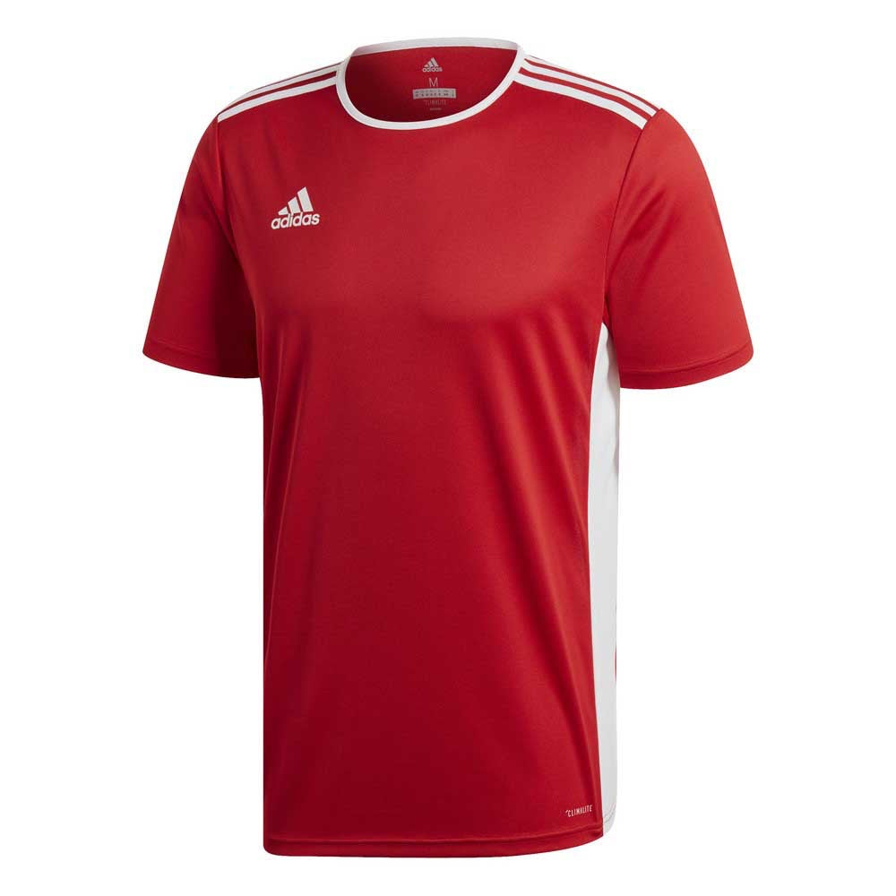 Adidas Entrada 18 Jersey in Red