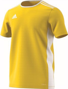 Youth Adidas Entrada 18 Jersey [Taxi Yellow]